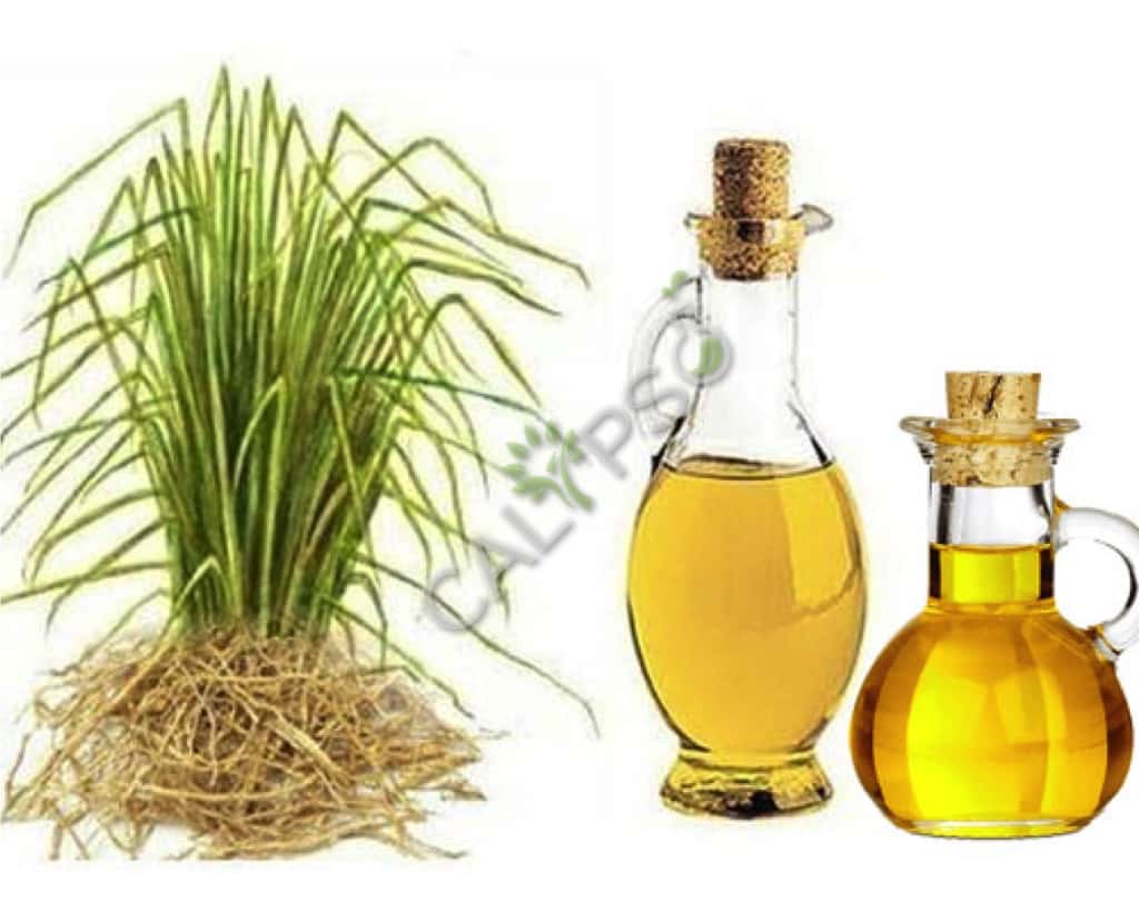 Aceite de especia de vetiver
